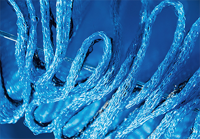 Photo of Blue meandering netting fence