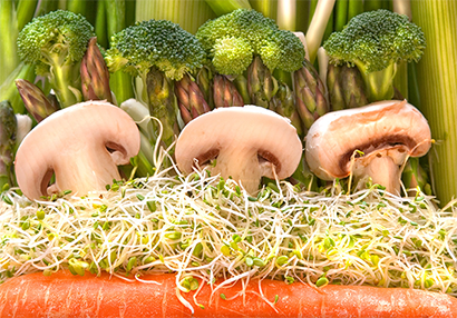 Photo of vegetable variety as a abstract landscape