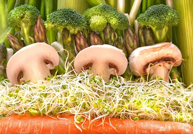 Macro vegetable arrangement exploring natural textures and greens