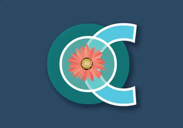 Official Orla Cahill professional designer logo mark