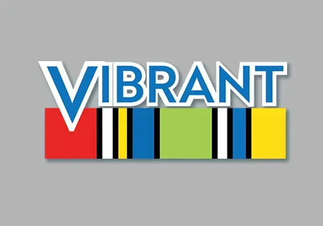 Vibrant creative studio logo with custom color systems